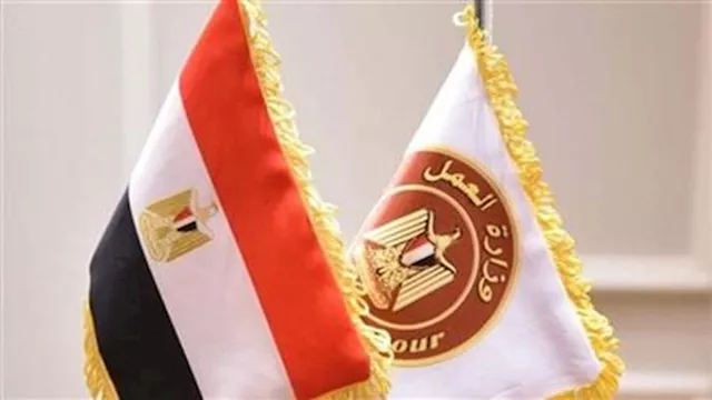 "العمل المنزلي من بينها".. حظر سفر السيدات للعمل ببعض المهن بالخارج